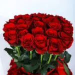 Signature Red Elegance Rose Box 2 02
