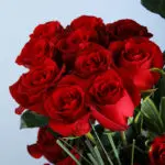 Bold Love Rose Arrangement 3 03