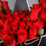 50 Red Roses in Black Elegance 4 04