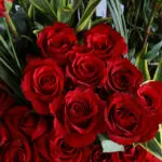 Bold Love Rose Arrangement 4 04