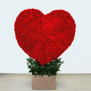 Heart-shaped arrangement of 1000 stem red roses in a rustic planter- perfect romantic gift