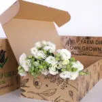 Lisianthus white 2 01 (4)