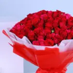 Joy full Red Rose 2 02