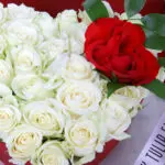 Pure Heart Beat 2 03