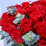 Radient Red Rose Vase 3 03