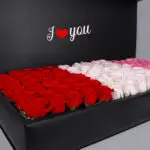 Passionate Long Box 2 03 (2)