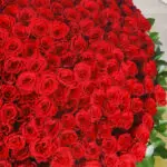 Power of Love 5 04