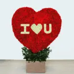 I Heart You