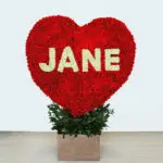 Jane