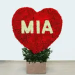 MIa
