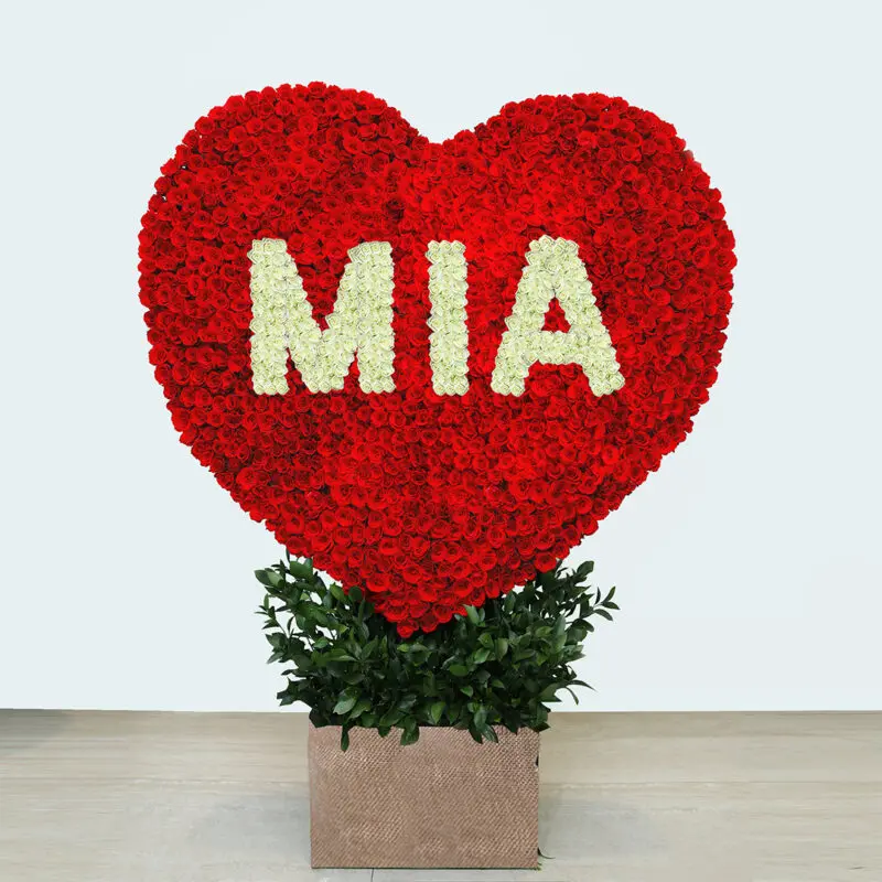 MIa