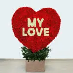 My Love