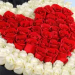 Heart You 4 heartyou_2026_02