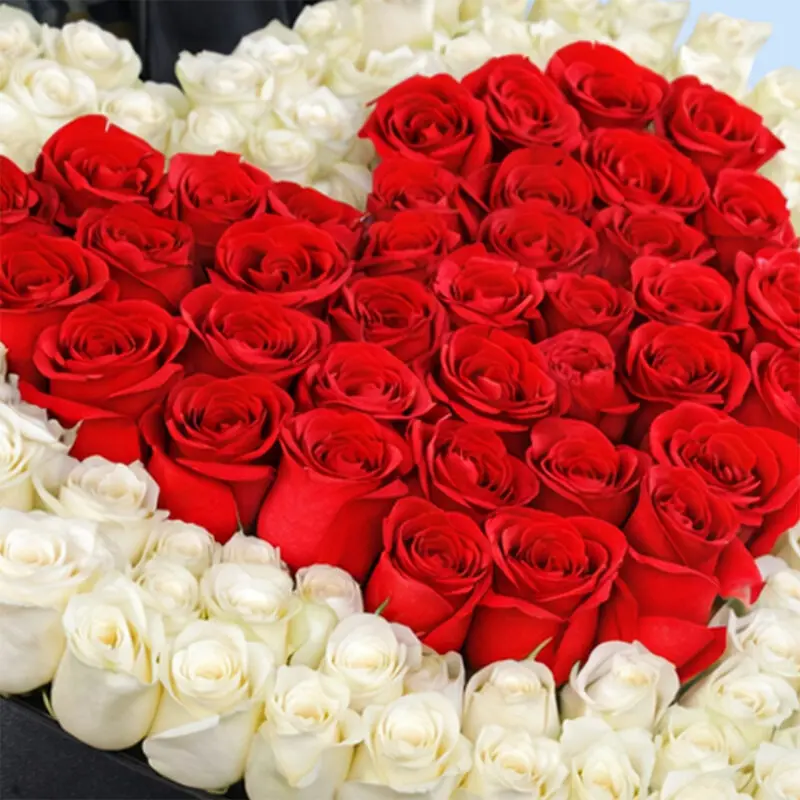 heartyou_2026_02 heartyou 2026 02
