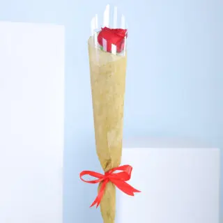 A wrapped bouquet of red roses tied with a red ribbon.