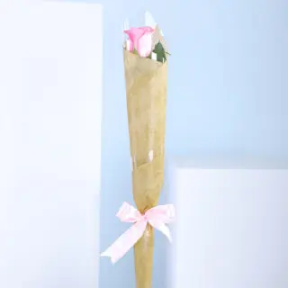 A single baby pink rose wrapped in paper with a pink ribbon.