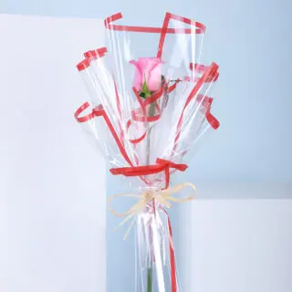 A single pink rose in a clear gift wrapping with red ribbons against a blue and white background.