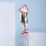 10pcs Simple White Rose Splendour 1 01