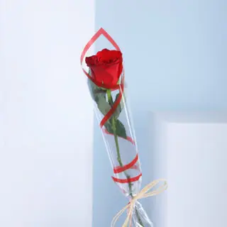 A single red rose wrapped in clear cellophane with a white ribbon.