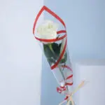 10pcs Simple White Rose Splendour 2 02