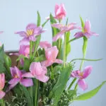 Pink Harmony Floral Creation 3 03