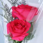 4Pcs Mystic Pink Rose Elegance 3 03