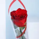 10pcs Red Rose Wrapped Elegance 2 03