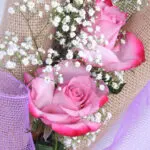 3pcs Rose Bliss Set 4 04