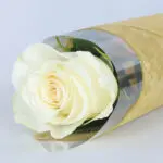 8pcs Graceful White Rose Blossom 4 04