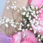 3pcs Rose Bliss Set 5 05
