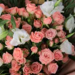 Four Leaves Baby Rose 5 08