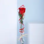 10pcs Red Rose Wrapped Elegance 3 10