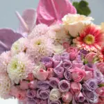 Harmony Blossom Box 3 03