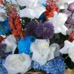 Flowers White Sparkle Basket 4 04