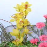 Spring Splendour Floral Display 4 05