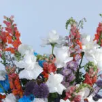 Flowers White Sparkle Basket 5 05