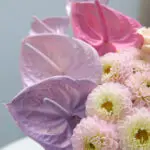 Harmony Blossom Box 5 05