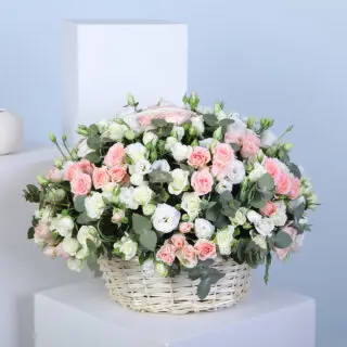 Whisper White & Pink