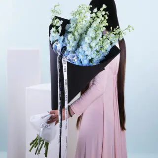 Delphinium Symphony