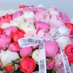 Peony Splendour Bouquet 4 04