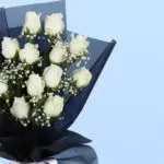 04 (3)