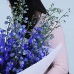 Delphinium Dreamscape Bouquet 4 04