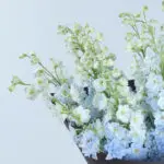 Delphinium Symphony 2 05