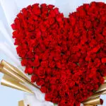 Heart Felt Red Rose 5 05