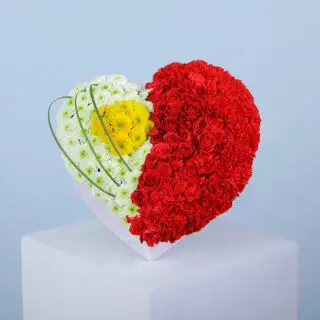 Classic Red Heart