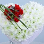 Heartfelt Heart Box 3 04