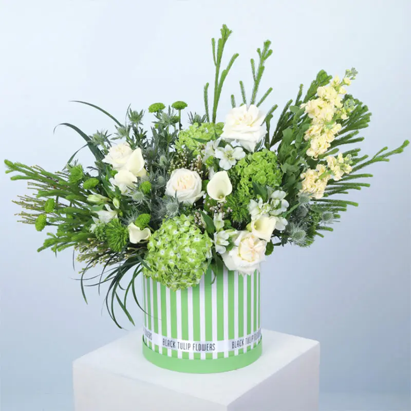 stylish floral elegance box 2026 02