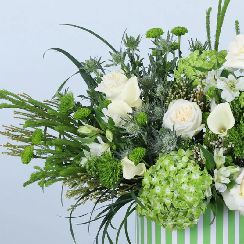 stylish floral elegance box 2026 05