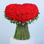 Red Rose Extravaganza 1 01