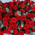 Rhapsody of Red Roses 2 02